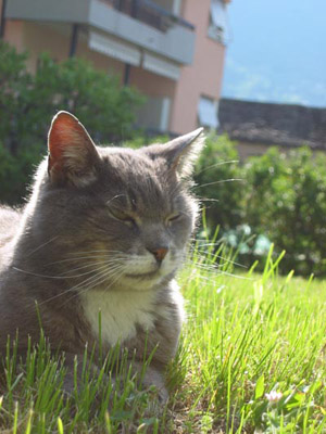 Mimmo 07